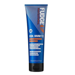 Fudge blue shampoo: best blue shampoo