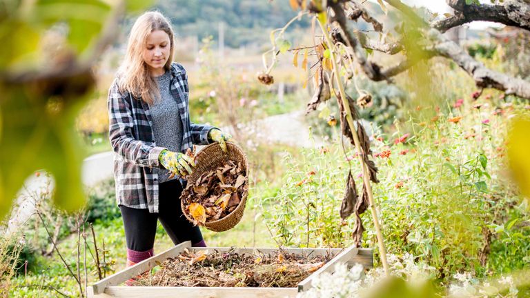 woman putting leaves on compost heap