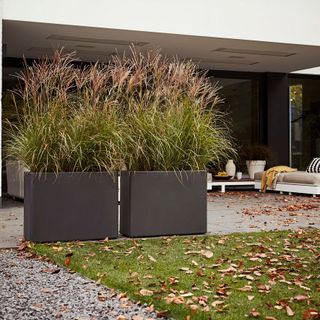 contemporary anthracite troughs from Waitrose Garden