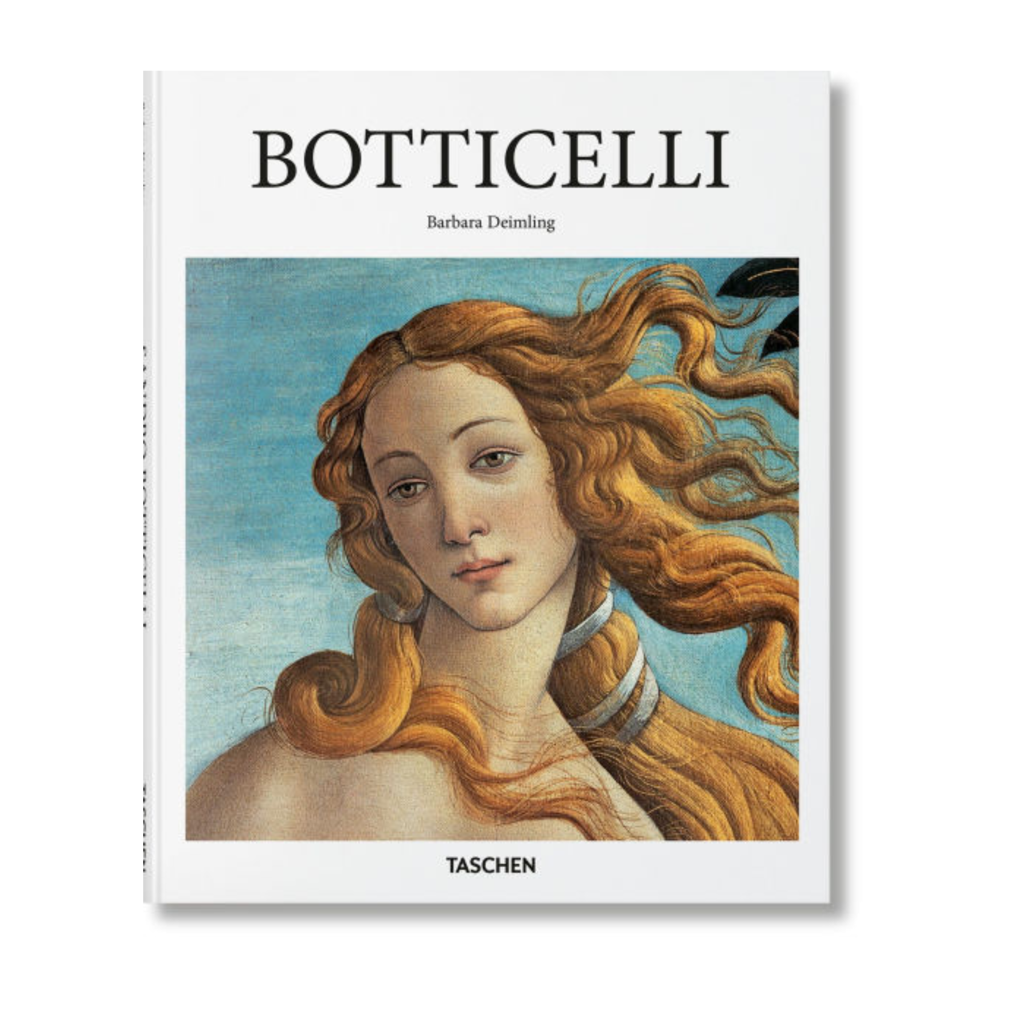 a Botticelli book