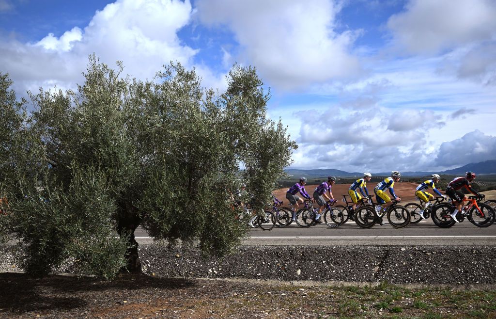 LA LINEA DE LA CONCEPCION SPAIN FEBRUARY 22 LR Milan Lanhove of Belgium Dylan Vandenstorme of Belgium and Team Flanders Baloise and a general view of the peloton competing during the 71st Vuelta a Andalucia Ruta Ciclista Del Sol 2025 Stage 4 a 1943km stage from Cordoba to Alhaurin de la Torre on February 22 2025 in La Lnea de la Concepcion Spain Photo by Szymon GruchalskiGetty Images