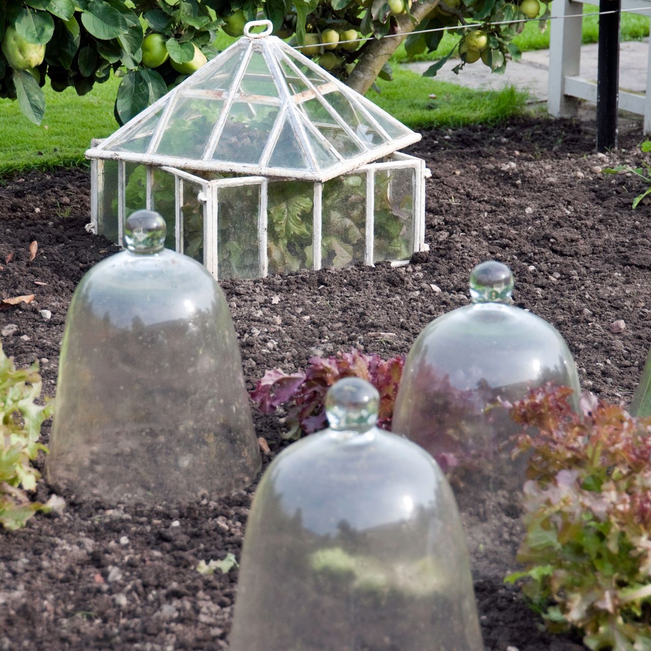 How to use a cloche in a garden like a gardening pro | Ideal Home