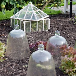 White and glass cloche in garden