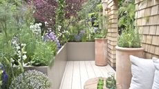 A balcony garden with plants growing in terracotta pots and raised planters at the Chelsea Flower Show