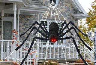 Halloween party ideas illustrated by giant shop bought black spider in pretend web