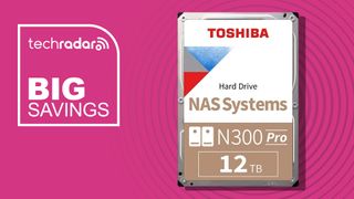 12TB Toshiba N300 Pro NAS Hard Drive