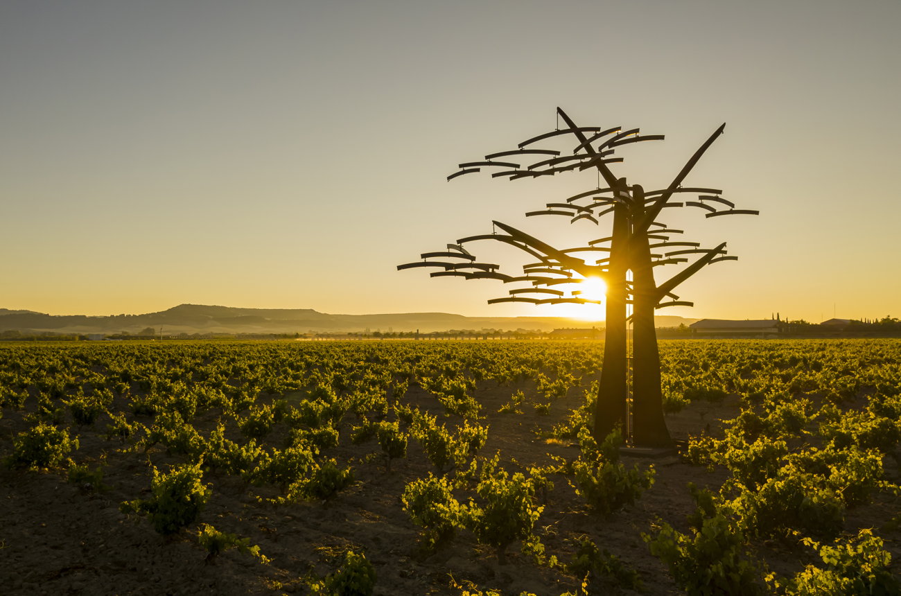 Spanish Icons: Vega Sicilia Unico