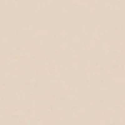 Taupe 03 Soho Roc House paint from Lick