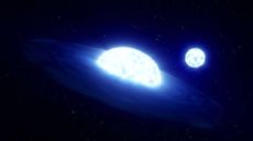Artist's impression composed of a star with a disc around it (a Be "vampire" star; foreground) and its companion star that has been stripped of its outer parts (background).