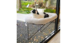Zakkart Cat Window Hammock for Indoor Cats