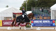 National Dressage Championships preliminary gold