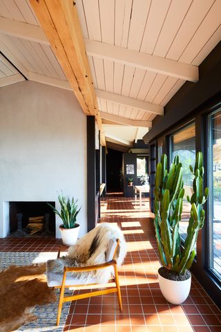 Sunroom with terracotta floor and cactus