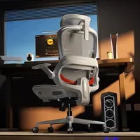 Sihoo B100 Mesh Office Chair