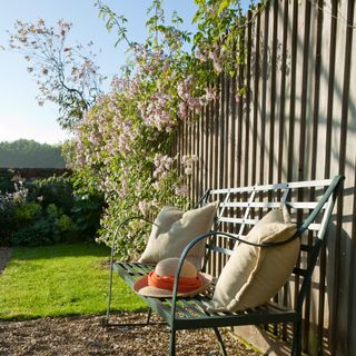garden fences green grass and plants with cap pillow on bench