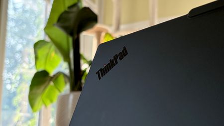 Close-up of a black ThinkPad laptop in focus, with a green plant blurred in the background.