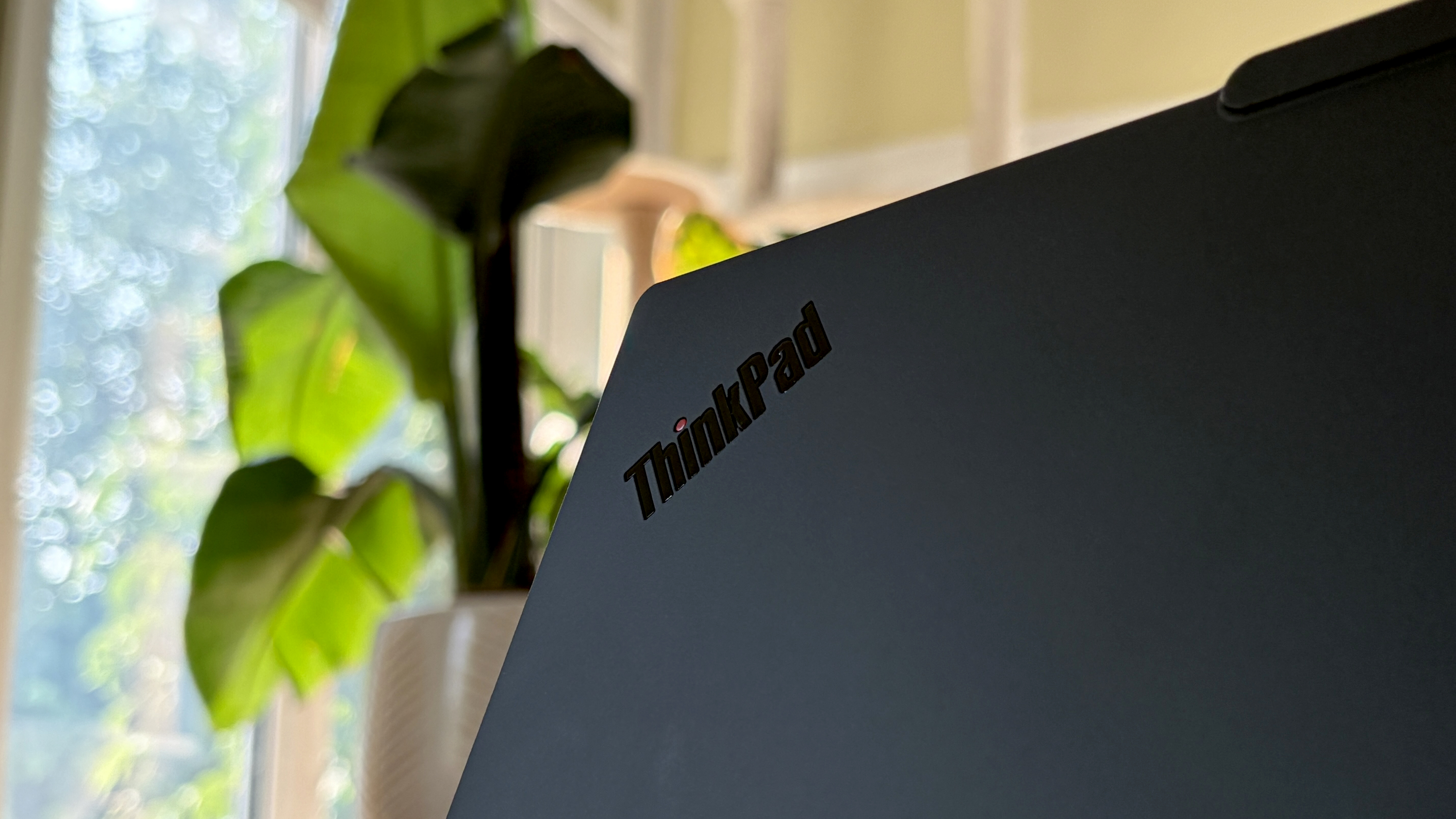 Close-up of a black ThinkPad laptop in focus, with a green plant blurred in the background.