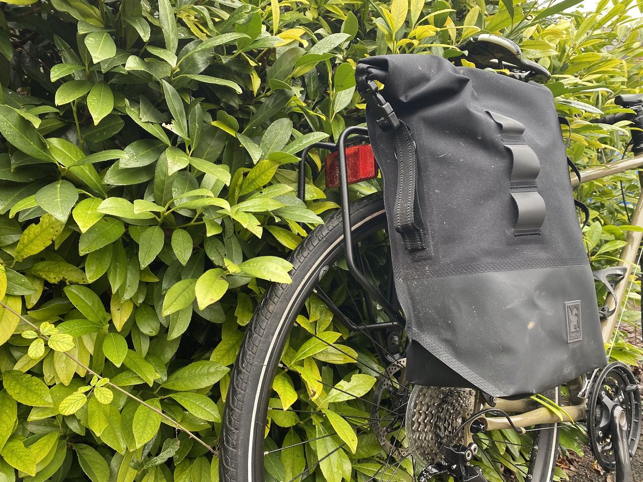 Rear without refletive details