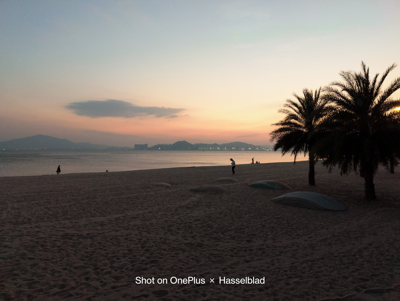 A OnePlus 10 Pro camera sample, showing an image of a beach scene