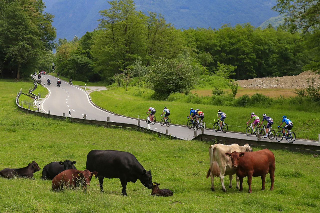 Giro d'Italia 2021 - 104th Edition - 20th stage Verbania - Valle Spluga - Alpe Motta 164 km - 29/05/2021 - Scenery - photo Luca Bettini/BettiniPhoto&Acirc;&copy;2021