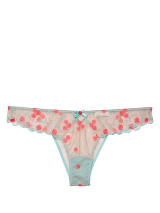 Rose and Vine Embroidered Cheeky Briefs