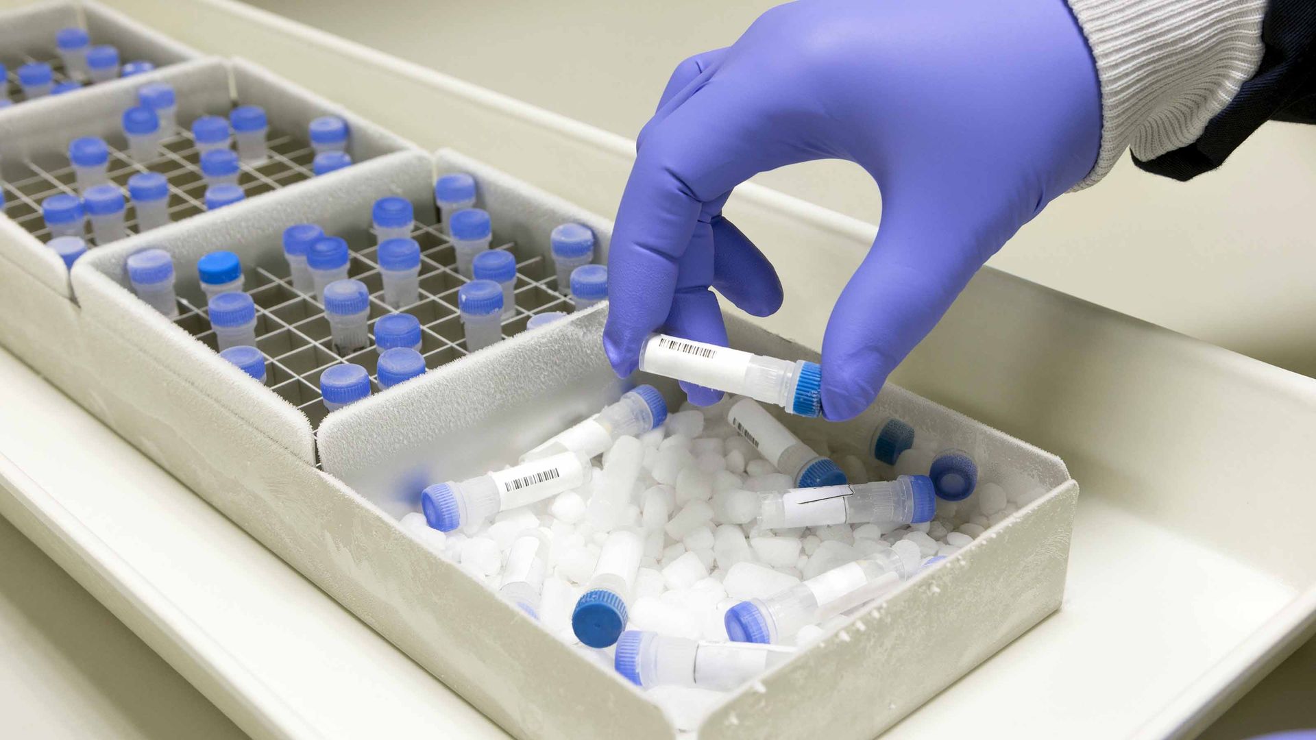 Invesco Dynamic Biotechnology & Genome ETF