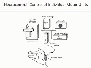 Neurocontrol