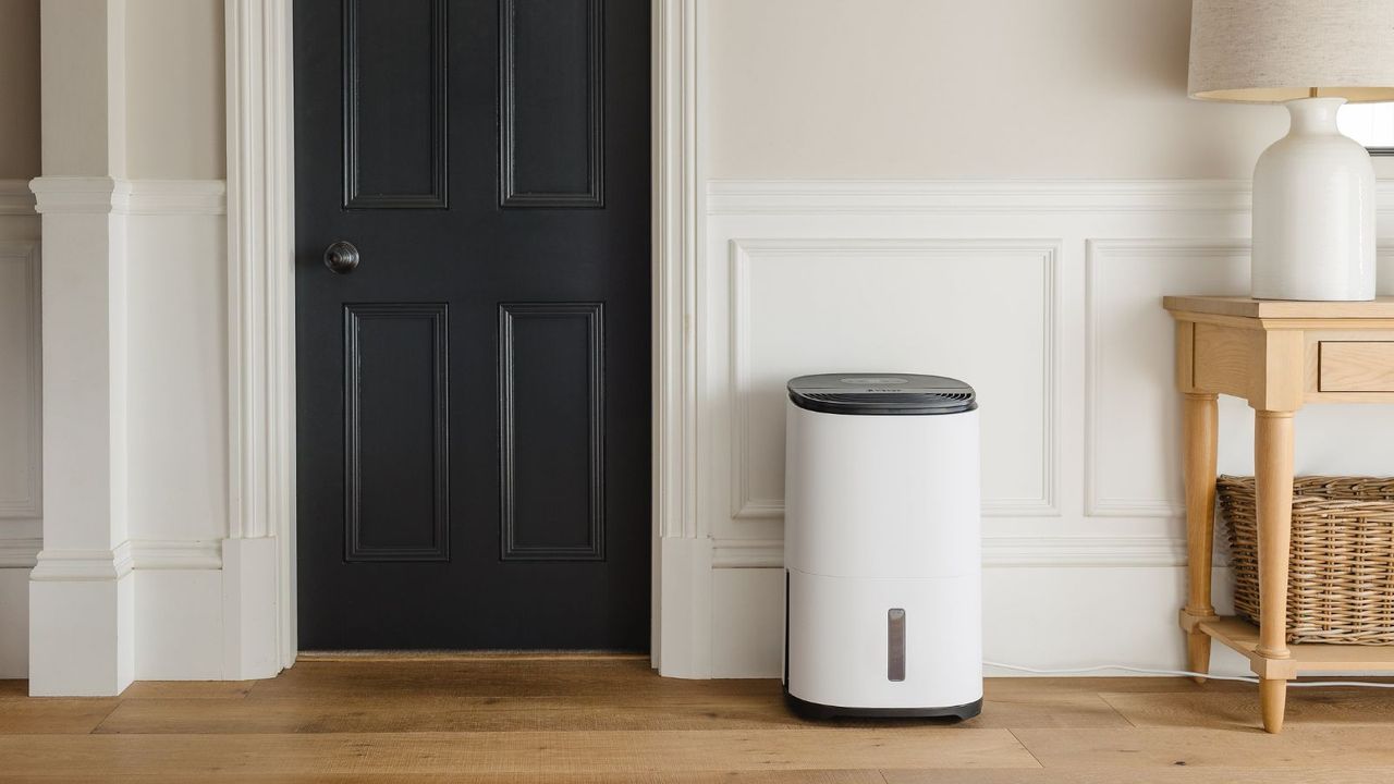 A white dehumidifier with a black top in a home hallway. Half paneled walls painted white, a black painted internal door, and a light wooden entryway table next to it