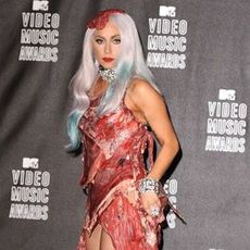 Lady GaGa Meat Dress