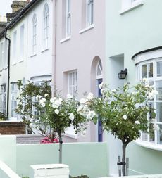 How to paint an exterior wall with pastel painted houses