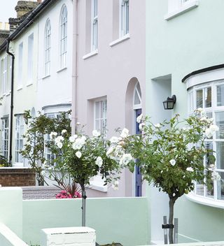 How to paint an exterior wall with pastel painted houses