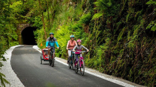 A family of four cycle along an old railway line turned bicycle lane in Ireland