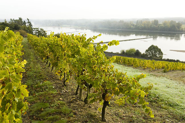 loire frost