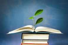 Pundits wisdom books tree plant