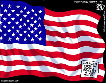 Political cartoon U.S. Veteran's Day flag