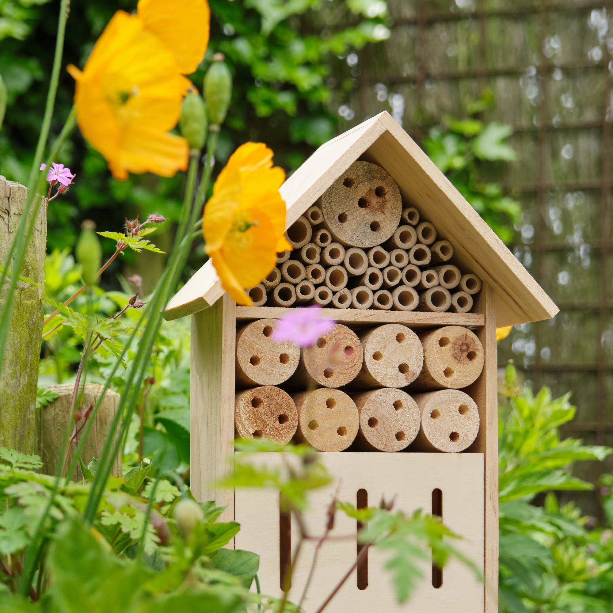 bug and bee hotel in garden among flowers for natural pest prevention