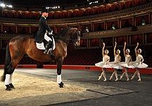 Lee-Pearson-Royal-Albert-Hall.jpg