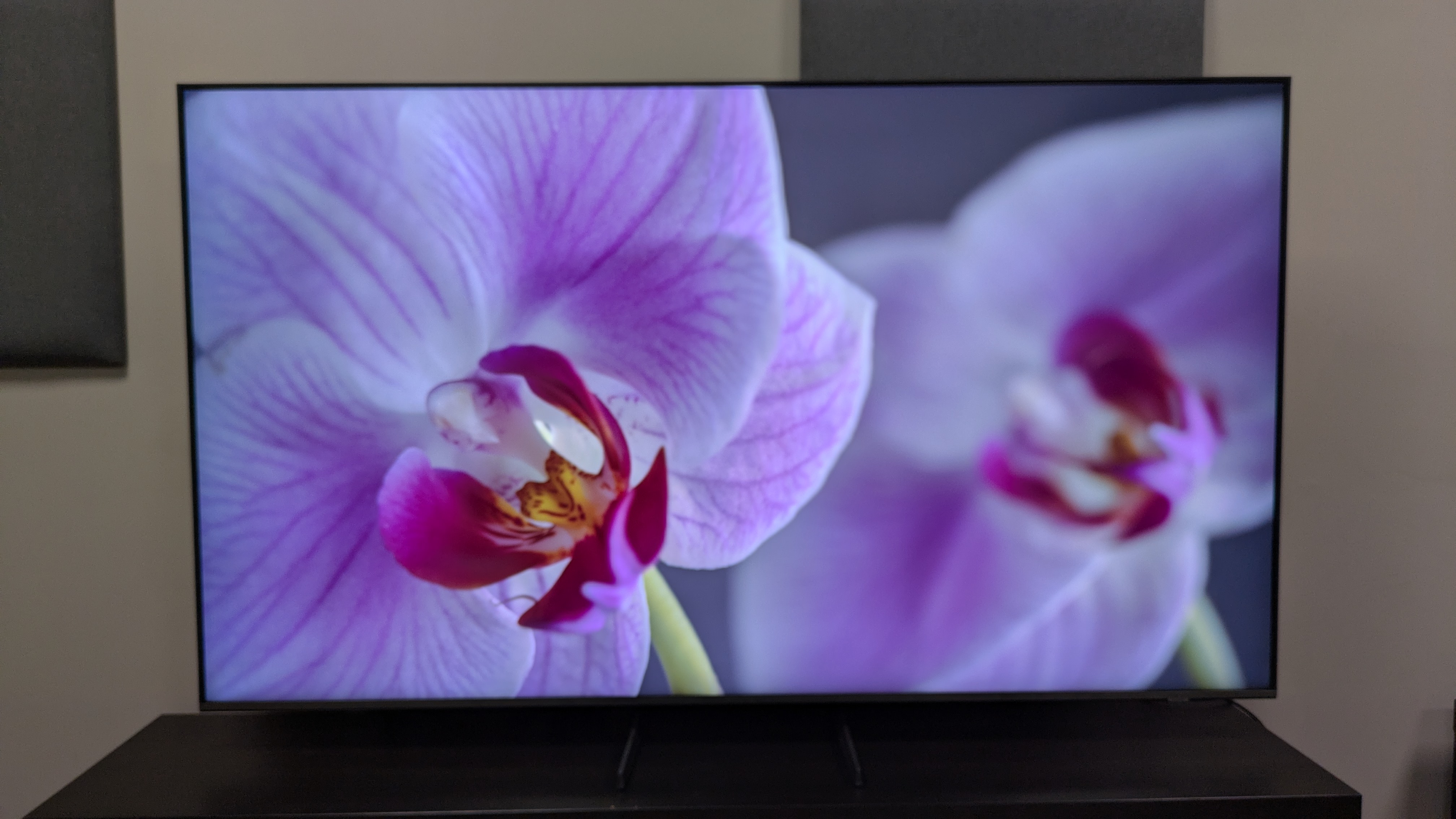 Samsung Q8F with purple flower on screen