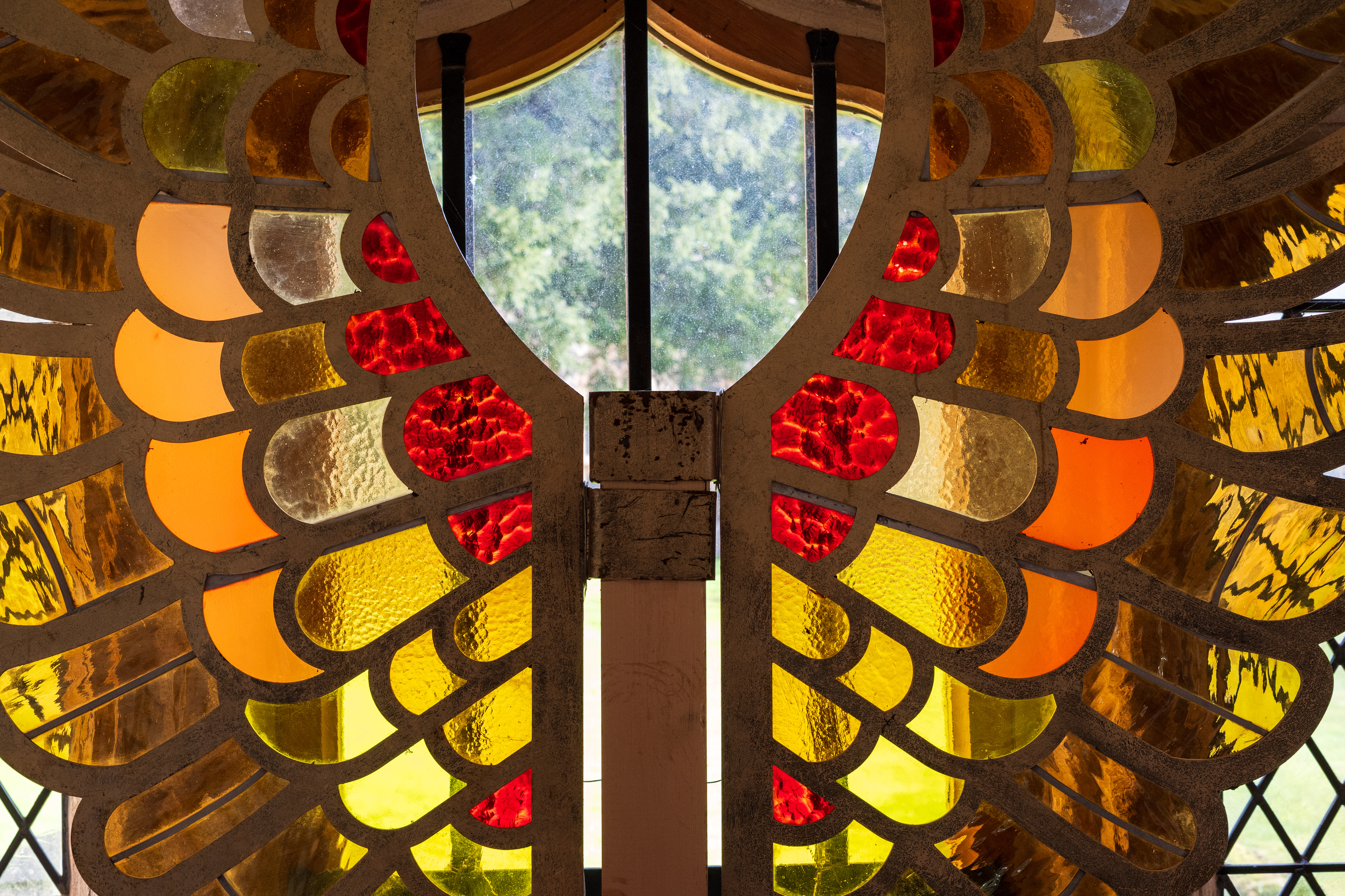 Nikon Z DX MC 35mm f/1.7 example shot