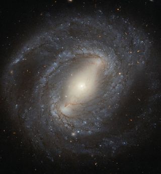 Residing inside the Milky Way galaxy makes it impossible to picture, but our galaxy is thought to be similar to other barred spiral galaxies, like NGC 4394.