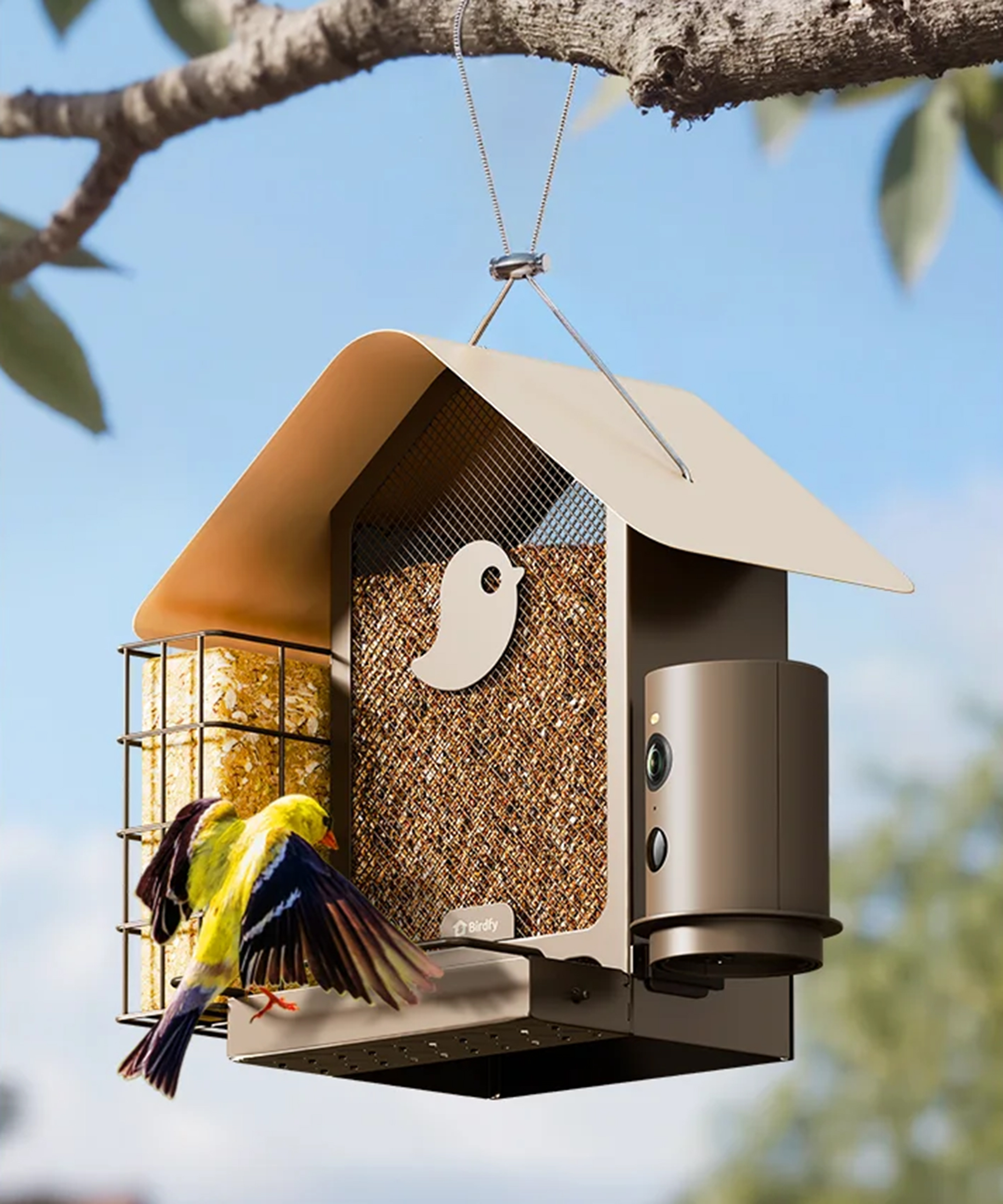 Birdfy feeder at Walmart