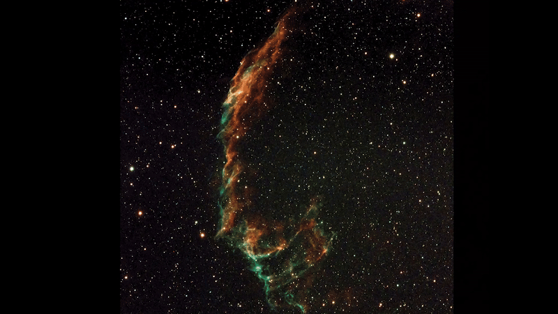 comparison between the eastern veil nebula and a xenomorph in profile.