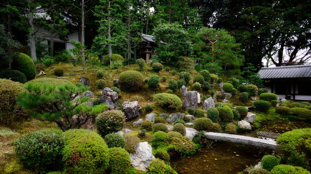 What is a zen garden? This Japanese approach to design can turn backyards into calming sanctuaries