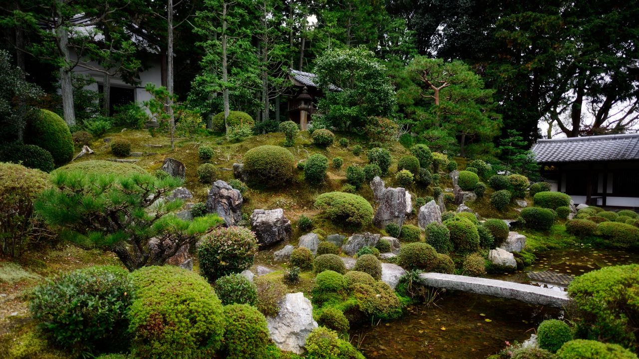 Japanese zen garden