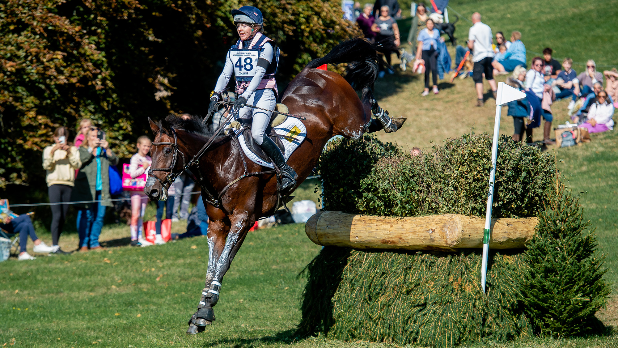 Felicity Collins, a rider in a pink and blue top and a blue hat cover, rides shiny bay horse RS Contend Or over a brush fence at Blenheim Horse Trials