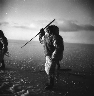 Canadian Inuit Holding Spear