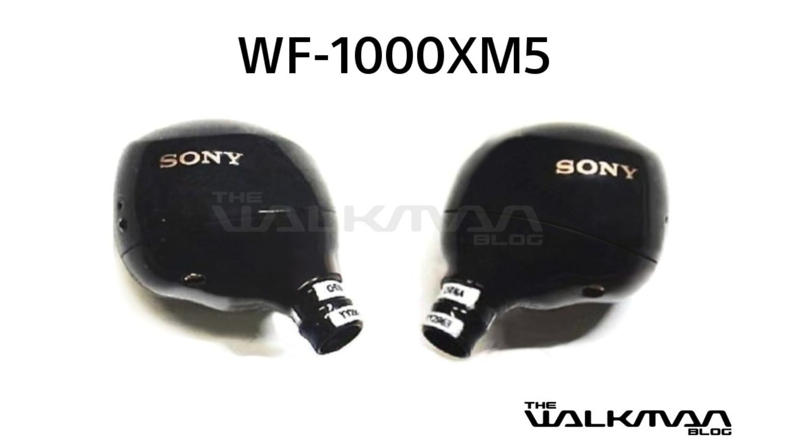 Sony WF-1000XM5 leaked