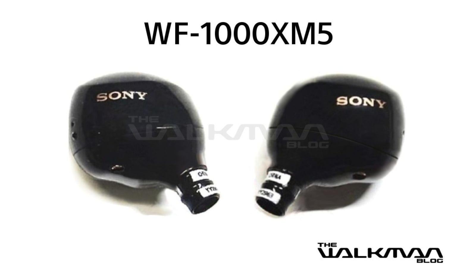 Sony WF-1000XM5 leak