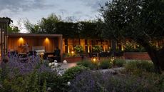 A modern garden with layered planting, an outdoor kitchen, a slatted fence, and uplights lighting a row of trees