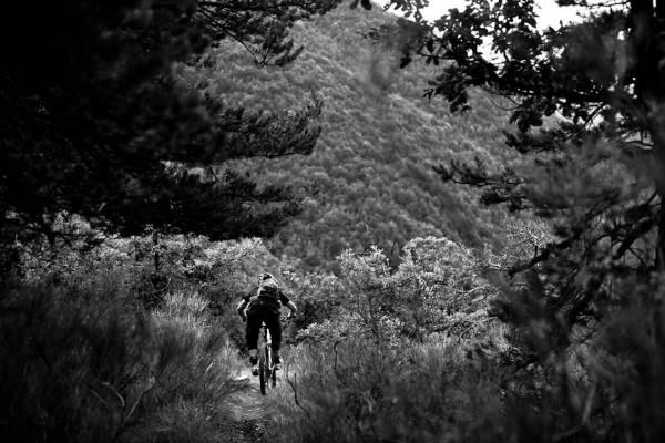 Zooming down the trail
