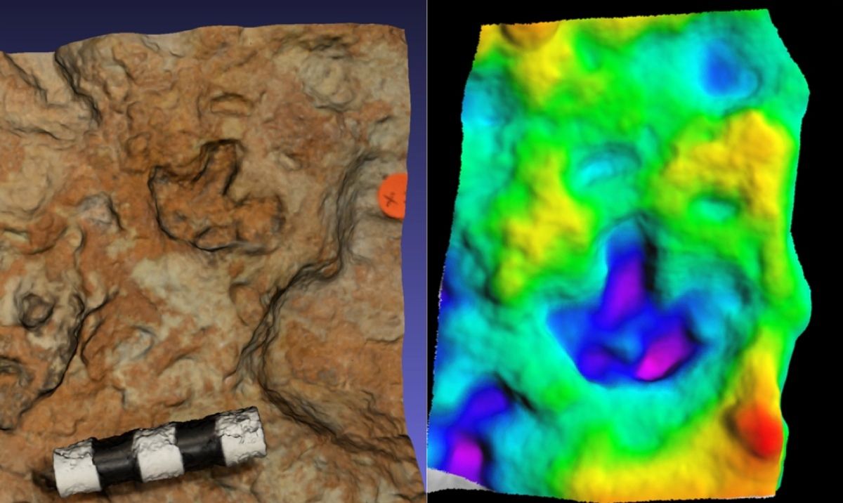 baby stegosaurus track and a 3d digital model of the dinosaur track.